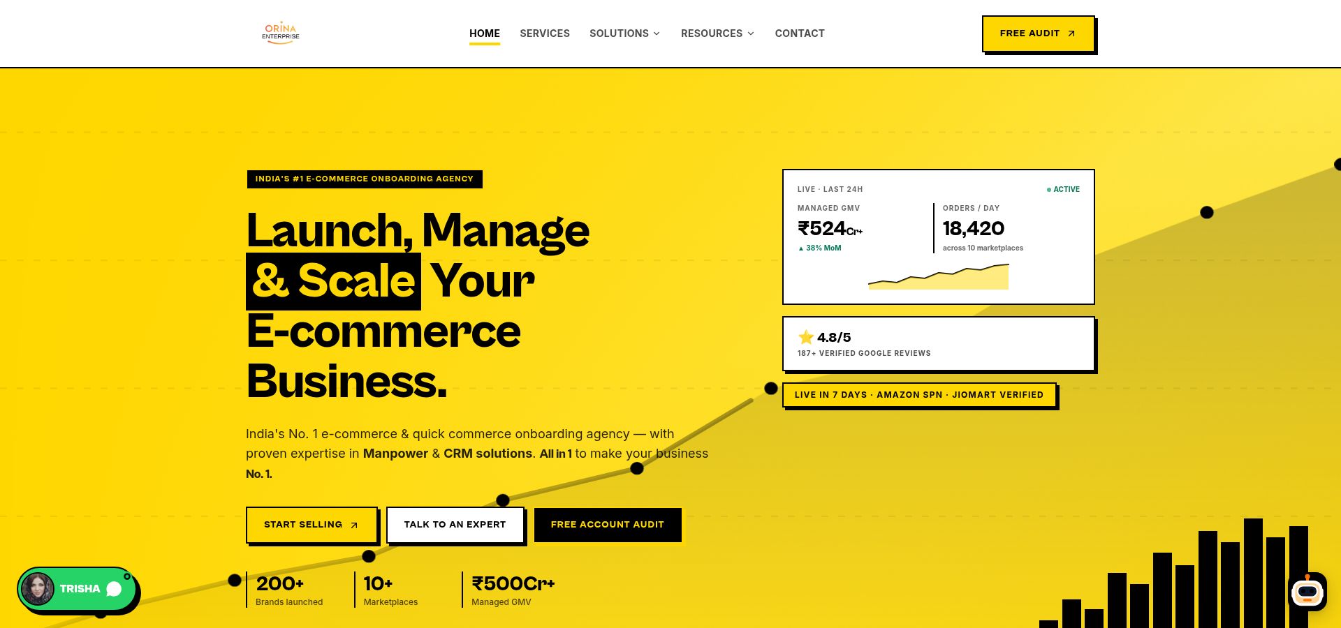 Orina Enterprise — E-commerce Services Agency website project